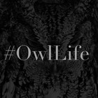 Picture for song 'Reality Check- Lil pat Ft. Jay Red prod Bobo Beatz' by artist 'John BoBo'