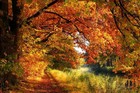 Picture for song 'What Do You Say When It's Over' by artist 'John Hoskins'