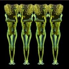 Picture for song 'SUSSEX COUNTY DEATH MARCH' by artist 'JP VIDEO'