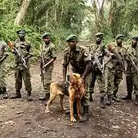 Picture for song 'Congo (Free Beat Fridays)' by artist 'Jreasn'