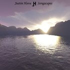 Picture for song 'Flight Of Passion (2008)' by artist 'Justin Havu'