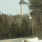 Picture for song 'i smoke trees' by artist 'KAAOS'