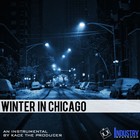 Picture for song 'Winter In Chicago *HOT*' by artist 'KaCe The Producer'