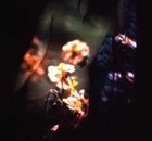 Picture for song 'Stardust' by artist 'kailei'