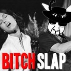 Picture for song 'B!tch Slap Nation (FREE Download / with hook!)' by artist 'Kangaroo Pimp'