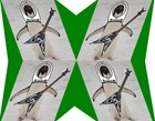 Picture for song 'Return of the Thrash Penguins' by artist 'Karate Implosion'