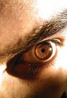 Picture for song 'Kd in je gezicht' by artist 'kd0251'