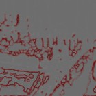 Picture for song 'kawaki' by artist 'Kigyou'