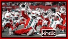 Picture for song 'THE BAND' by artist 'KINETIC LIFE'