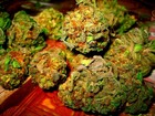 Picture for song '*NEW*::::::::DEM LOUD PACKZ:::::::::FREE DOWNLOAD' by artist 'KING SLUMPZ'