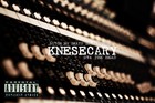 Picture for song 'TRACK SNIPPET 18' by artist 'KNES'