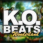 Picture for song 'Wonderland' by artist 'K.O. Beats Productions'