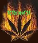 Picture for song 'What you know' by artist 'KroniK Smokerz'
