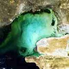 Picture for song '7'000'000'000 People Orchestra' by artist 'Krsna Sounds'