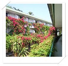 Picture for song 'Kamala's Garden (w/ruff vocals)' by artist 'krutch with a k'