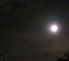 Picture for song 'MoonlightandTears' by artist 'Lady Crimson Rose'