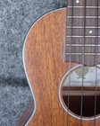 Picture for song 'Quick Ukelele test' by artist 'let it burn demo-recordings'