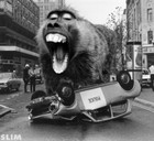 Picture for song 'le vandale-jmet la camera sur la rue' by artist 'le vandale'