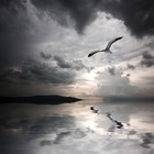 Picture for song 'Lil C *Fly Away* (Free Download)' by artist 'Lil Crow beatz'