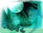 Picture for song 'Losing You' by artist 'Lil Frosty'