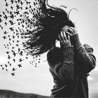 Picture for song 'Don t listen' by artist 'LilOrange'