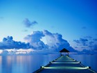 Picture for song 'VOLGA BOATMAN' by artist 'LIMPOPO'