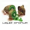 Picture for song 'Ancient Oranges' by artist 'Liquid Cranium'