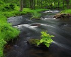 Picture for song 'Let It Flow' by artist 'Lisa Crum'
