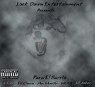 Picture for song 'On Lock Down' by artist 'LOCK DOWN ENTERTAINMENT'