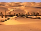 Picture for song 'Arabia suspense' by artist 'Lofizzer'