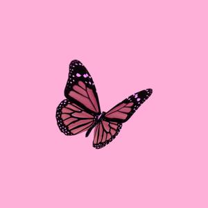 Picture for song 'WHAT DIFFERENT DOES' by artist 'LONDONAVE'