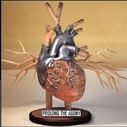 Picture for song 'Nor'easter of 1998' by artist 'Lou Albino'