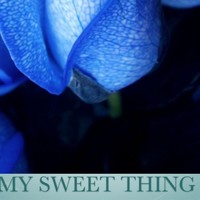 Picture for song 'MY SWEET THING' by artist 'Mackie Humphries'