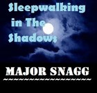 Picture for song 'Sleepwalking In The Shadows' by artist 'Major Snagg'