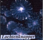 Picture for song '2 - ACUARIUM 02 (M. Lochtenknapper) (738).mp3' by artist 'Mario Lochtenknapper'