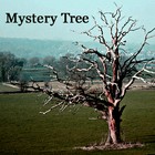 Picture for song 'Mystery Tree' by artist 'Mark Kaufman'