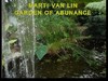 Picture for song 'Garden Of Abundance' by artist 'Marti van Lin'
