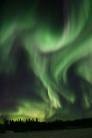 Picture for song 'Northern Lights' by artist 'Marv Cripps'