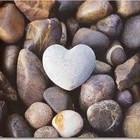 Picture for song 'Together (feat.A-Town)' by artist 'Shingie.'