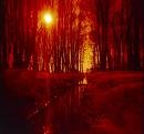 Picture for song 'My Time Is Now' by artist 'Masked Reaper'