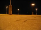 Picture for song 'Funky Techno sh***' by artist 'Max Experimental'