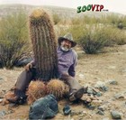 Picture for song 'Friendly Cactus' by artist 'MC Bilf'