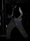 Picture for song 'Walpurgis Awakening' by artist 'MGrave'