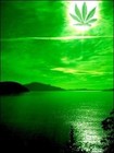 Picture for song 'M.I.A PRODUCTIONS - MELLOW RAP INSTRUMENTAL' by artist 'M.I.A PRODUCTIONS'