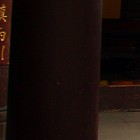 Picture for song 'Treewind' by artist 'Michael Parcell-Davies'