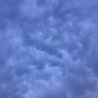 Picture for song 'Decizzyve Spring (...and half a dozen)' by artist 'Microzzpiryn'