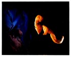 Picture for song 'yew' by artist 'midori3'