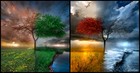 Picture for song 'Intantaneous Happiness' by artist 'Mike Ferrera Saves the Rainforest'