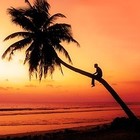 Picture for song 'Successful Failure' by artist 'Mikejazz'