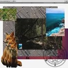 Picture for song 'SquirtleSquad1.5 Sold Out' by artist 'Milesg2g'